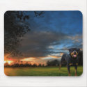 rottweiler mousepads