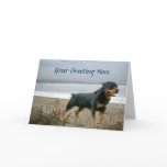 Rottweiler On Beach Greeting Card
