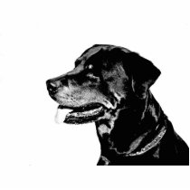 Rottweiler photosculpture acrylic cut out