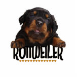 Rottweiler photo sculptures