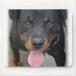 Rottweiler Picture Mouse Pad mousepads