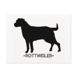 Rottweiler Postcard