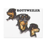 Rottweiler postcards