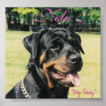 Rottweiler posters