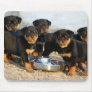 rottweiler puppies mouse mat