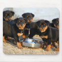 rottweiler puppies mousepads