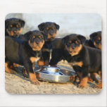 rottweiler puppies mousepads
