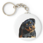 Rottweiler puppy keychains