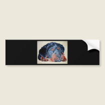Rottweiler Puppy Portrait bumper stickers