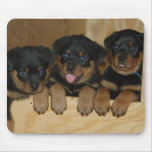 rottweiler pups mousepads