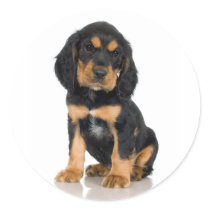 Rottweiler Sticker