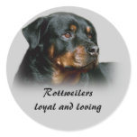 Rottweiler Sticker