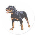 Rottweiler stickers
