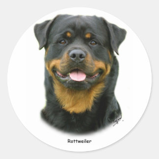 rottweiler decal rottweiler stickers and sticker transfer designs zazzle uk rottweiler decal rottweiler stickers and sticker transfer designs zazzle uk