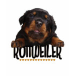 Rottweiler t-shirts