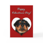 Rottweiler Valentines Day Card