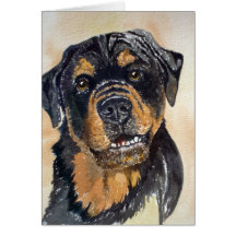 Rotweiler Watercolor Portrait Card
