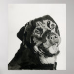 Rotweiller Print