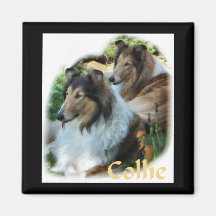 Rough Collie Art Gifts Refrigerator Magnet
