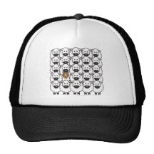Rough Collie in the Sheep Hat
