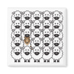 Rough Collie in the Sheep Refrigerator Magnets