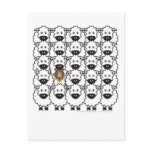 Rough Collie in the Sheep Post Cards