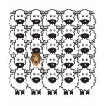 Rough Collie in the Sheep t-shirts
