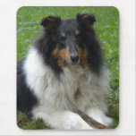 Rough Collie Mouse pad mousepads
