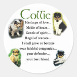 Rough Collie Puppies Art Gifts Round Sticker