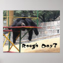 Rough Day posters