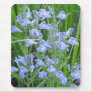 Rough Skullcap, Scutellaria integrifolia Mouse Pad