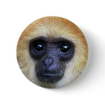 Round Button