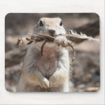 Round-tailed Ground Squirrel Mousepad