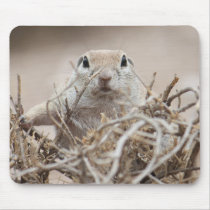 Round-tailed Ground Squirrel Mousepad mousepads