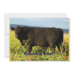 Roundup Time!  Cattle Drive - Western Style Party invitations