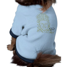 Roupa Caoãozinho Roupas Para Cães