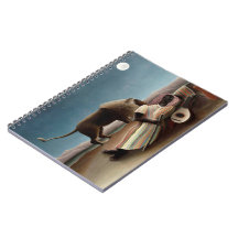 Rousseau’s Sleeping Gypsy notebook