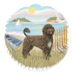Row Boat - Brown Portie 2