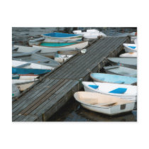 Row Boats at Dock Postcard