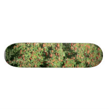 Rowan Tree With Berries Skate Decks