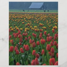 Rows And Rows Of Tulips Personalised Flyer