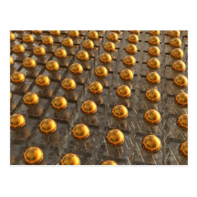 Rows of Bronze Postcard