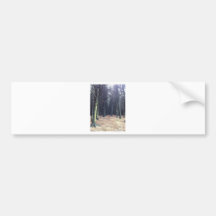Rows of trees bumper stickers