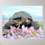 Roxy the Turtle Canvas Print