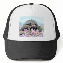 Roxy the Turtle Cap Hat