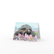 Roxy the Turtle Notecard