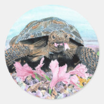 Roxy the Turtle Round Stickers