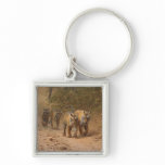 Royal Bengal Tigers on the move, Ranthambhor keychains