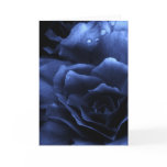 Royal Blue Close Up of a Double Begonia Card