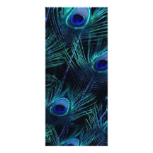 Royal Blue Silver Peacock Wedding Programs Rack Cards